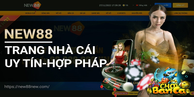 Nhà cái New88 cam kết trả thường đầy đủ và minh bạch