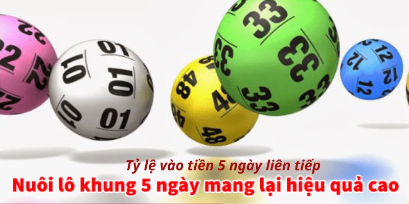 Tỷ lệ vào tiền chắc thắng khi đánh lô khung 5 ngày