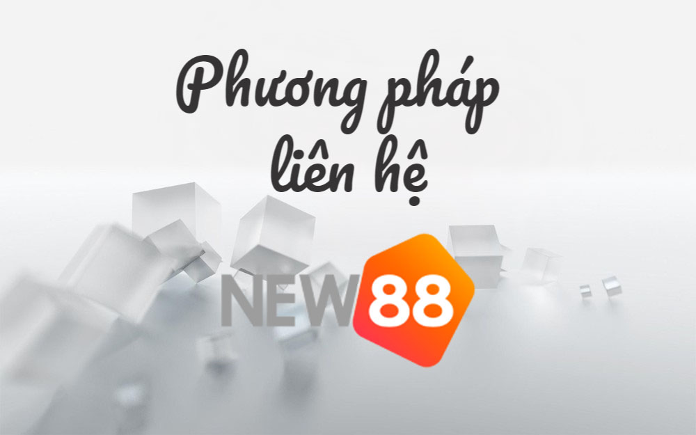 Những phương thức liên hệ New88